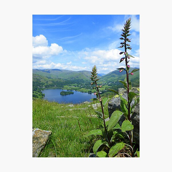 Item preview, The Lake District: Nearly in Bloom designed and sold by Rob Parsons (Just a Walker with a Camera).