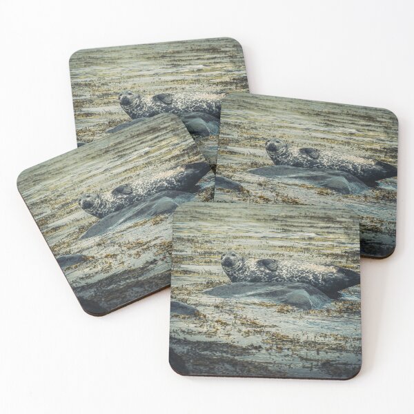 Item preview, Seals at Snaefellsnes Peninsula - Frames from Iceland #66 designed and sold by LucaRamble.
