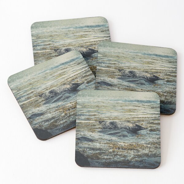 Item preview, Seals at Snaefellsnes Peninsula - Frames from Iceland #67 designed and sold by LucaRamble.