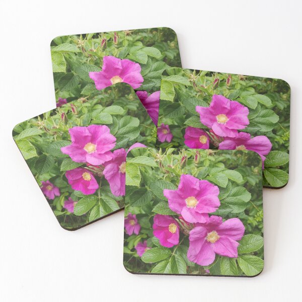 Item preview, Wild pink roses photograph designed and sold by esvb.