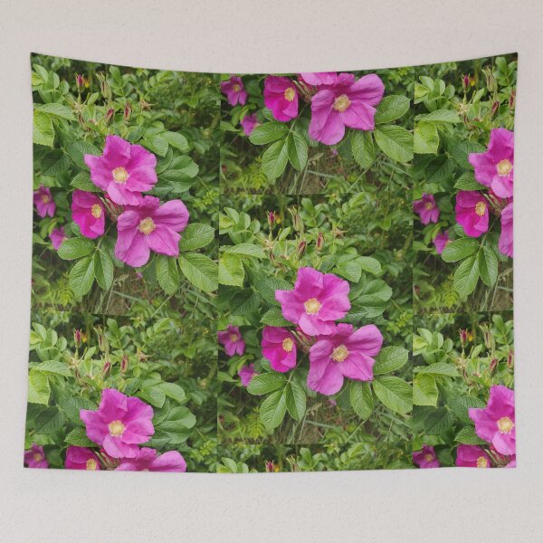 Item preview, Wild pink roses photograph designed and sold by esvb.