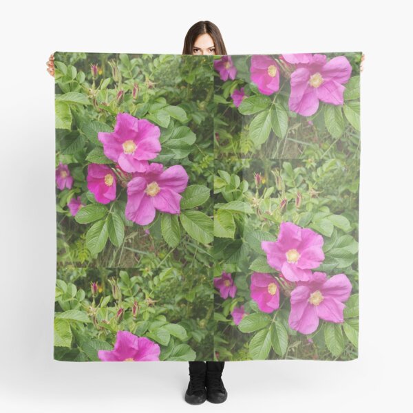Item preview, Wild pink roses photograph designed and sold by esvb.