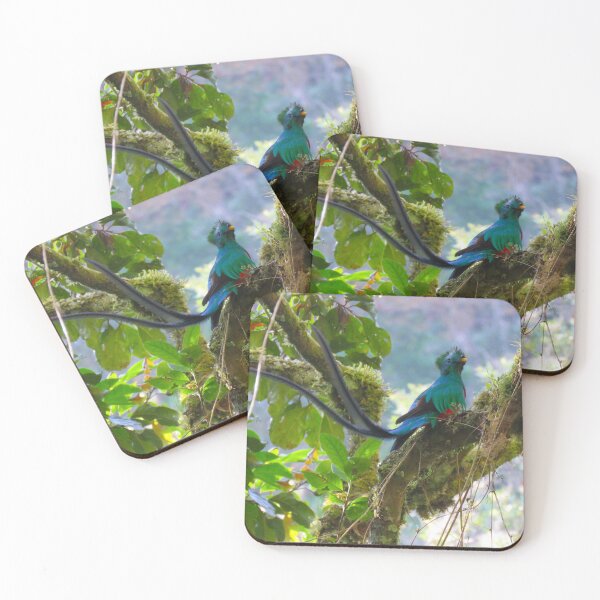 Item preview, Male Resplendant Quetzal Panama Bird Photography Alvaro Miranda designed and sold by Alvaro-Miranda.