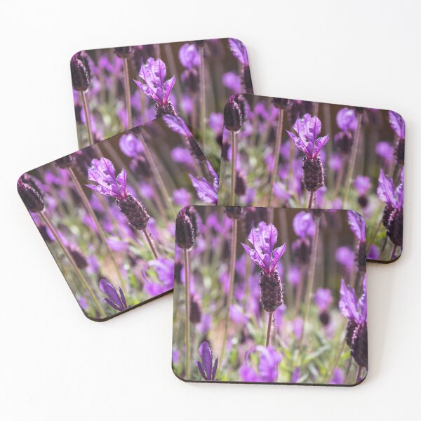 Item preview, Lavender designed and sold by Tina  Townhill.