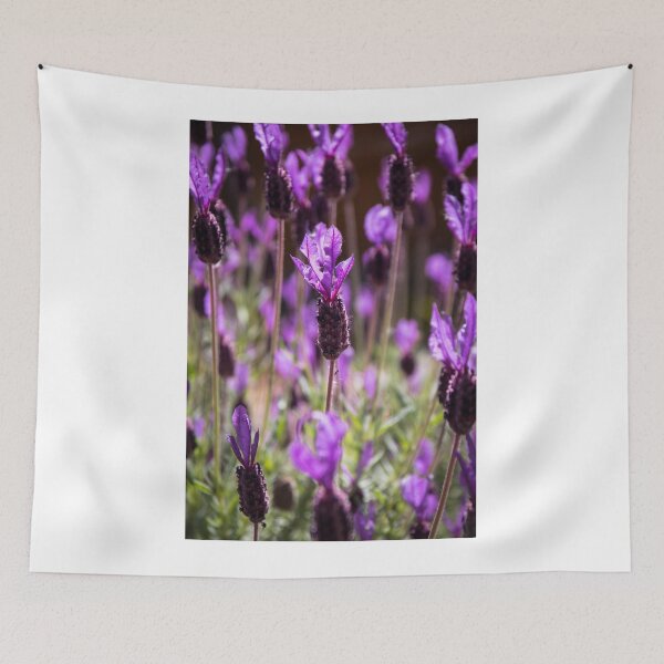 Item preview, Lavender designed and sold by Tina  Townhill.