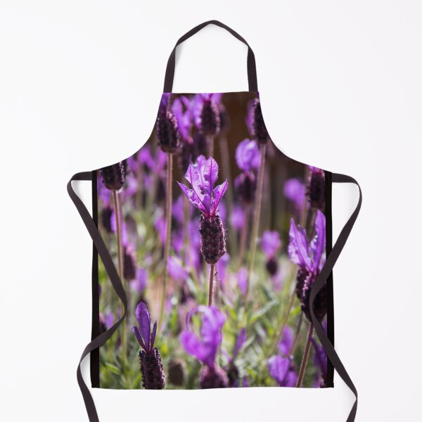 Item preview, Lavender designed and sold by Tina Townhill.