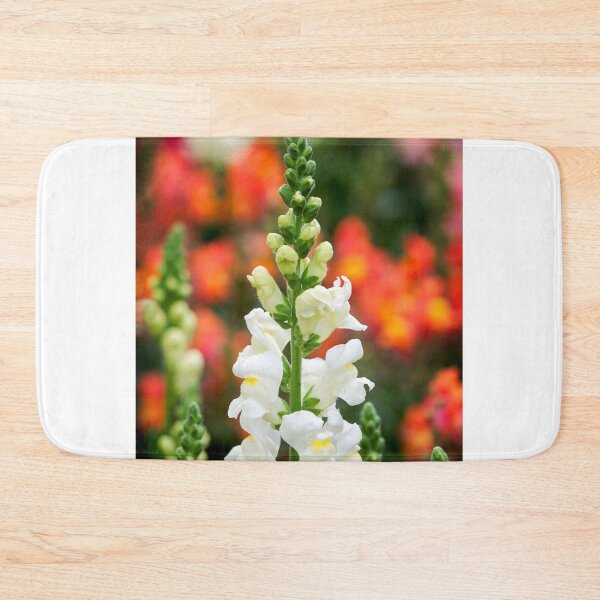 Item preview, Stocks - Matthiola incana designed and sold by Dorset Girl.