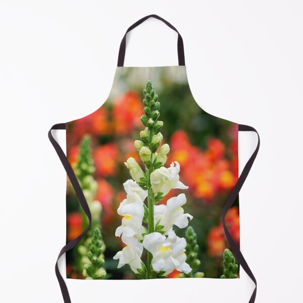 Item preview, Stocks - Matthiola incana designed and sold by Dorset Girl.