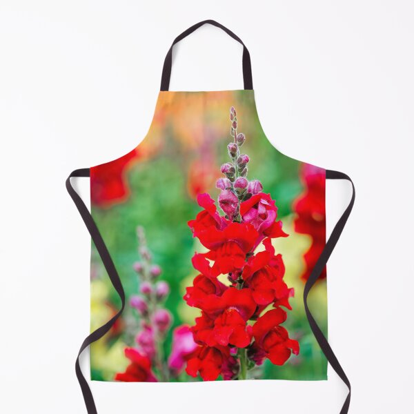 Item preview, Stocks - Matthiola incana designed and sold by Dorset Girl.
