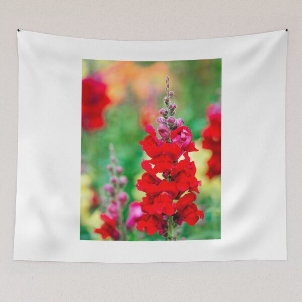 Item preview, Stocks - Matthiola incana designed and sold by Dorset Girl.