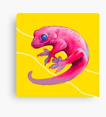 Pink Gekko Canvas Print