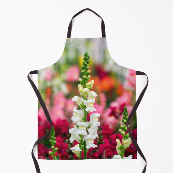 Item preview, Stocks - Matthiola incana designed and sold by Dorset Girl.