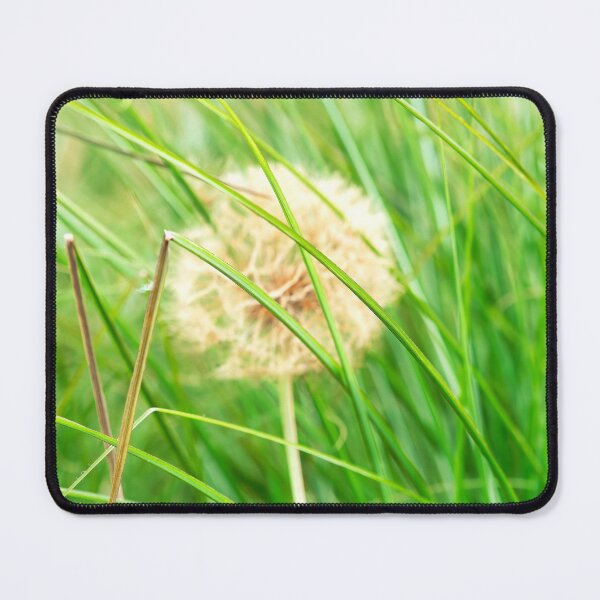 Item preview, Goatsbeard and Green Grasses designed and sold by Dorset Girl.