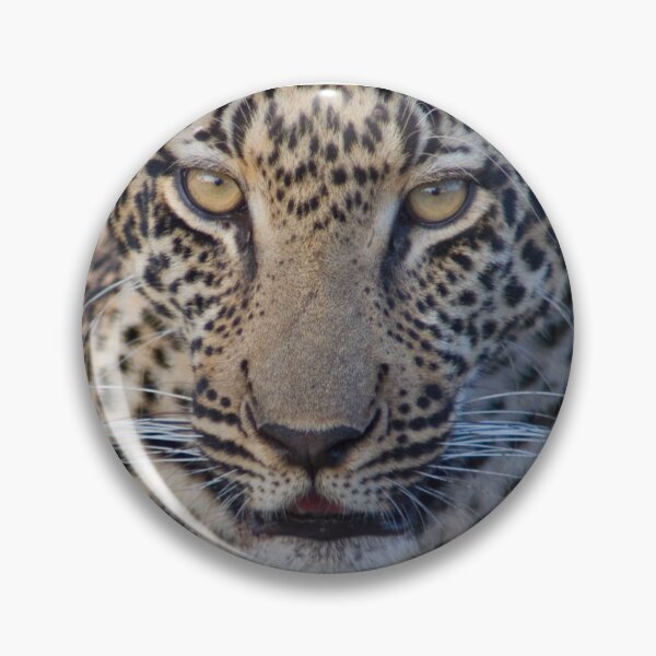 Item preview, Léopard - Portrait designed and sold by Yves Roumazeilles (Wild Focus).
