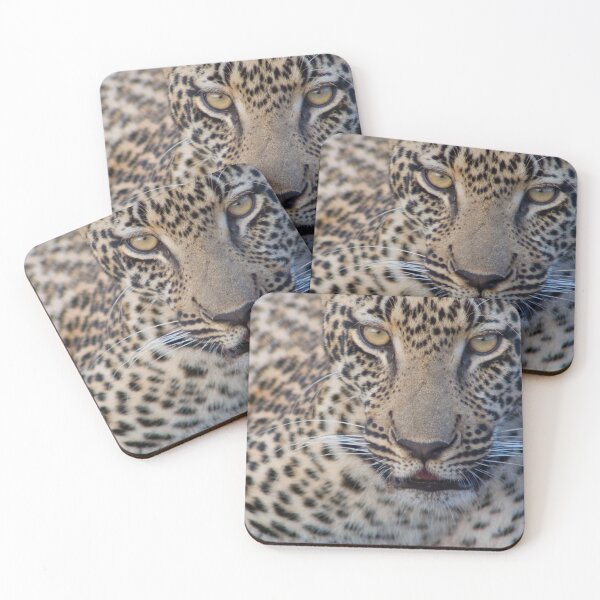 Item preview, Léopard - Portrait designed and sold by Yves Roumazeilles (Wild Focus).