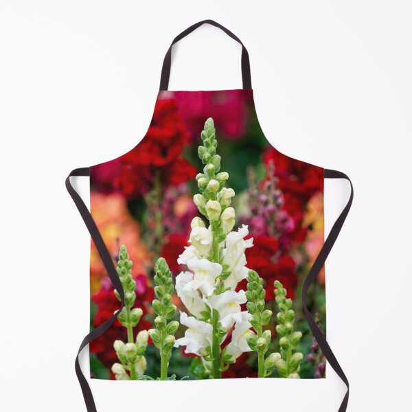 Item preview, Stocks - Matthiola incana designed and sold by Dorset Girl.