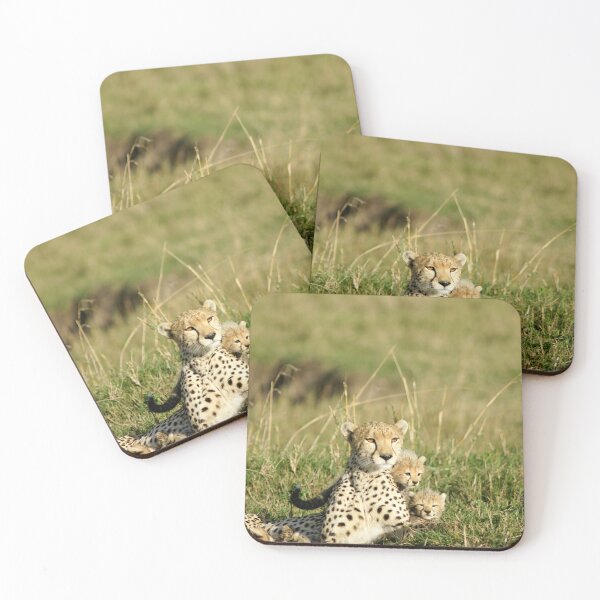 Item preview, Cheetah happy family designed and sold by Yves Roumazeilles (Wild Focus).