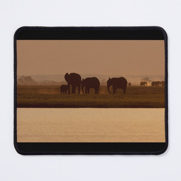 Aperçu de l'œuvre Elephants, sunset on Chobe créée et vendue par Yves Roumazeilles (Wild Focus).