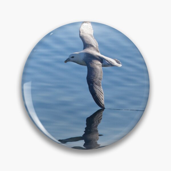 Item preview, Fulmar boréal designed and sold by Yves Roumazeilles (Wild Focus).