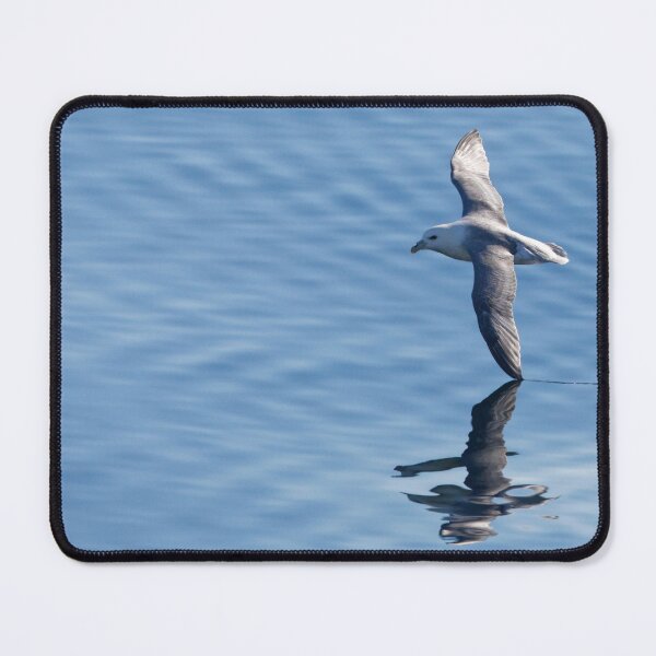 Item preview, Fulmar boréal designed and sold by Yves Roumazeilles (Wild Focus).