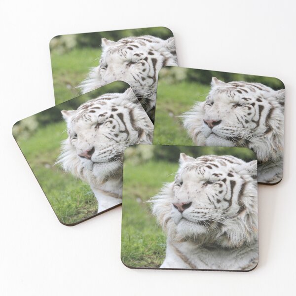Item preview, Tiger power designed and sold by Yves Roumazeilles (Wild Focus).