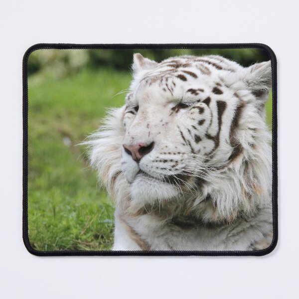 Item preview, Tiger power designed and sold by Yves Roumazeilles (Wild Focus).