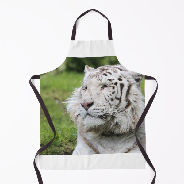 Item preview, Tiger power designed and sold by Yves Roumazeilles (Wild Focus).