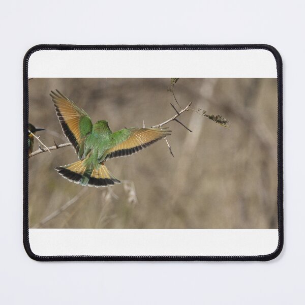 Item preview, Little bee eater designed and sold by Yves Roumazeilles (Wild Focus).