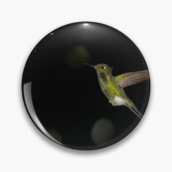 Item preview, Booted Racket-tail designed and sold by Yves Roumazeilles (Wild Focus).