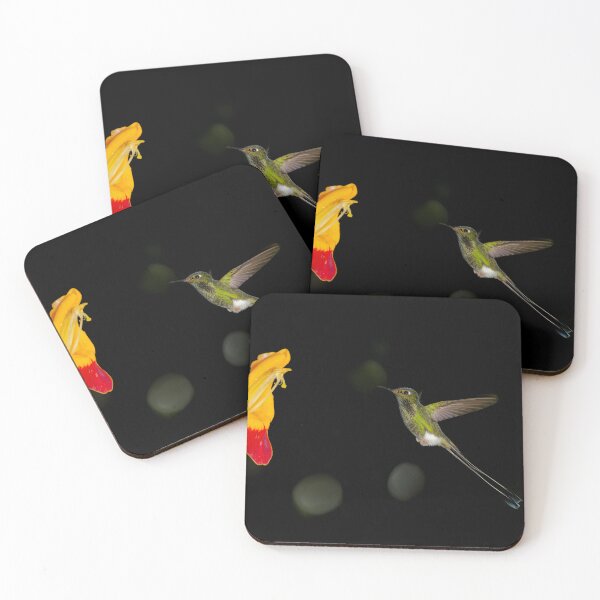 Item preview, Booted Racket-tail designed and sold by Yves Roumazeilles (Wild Focus).
