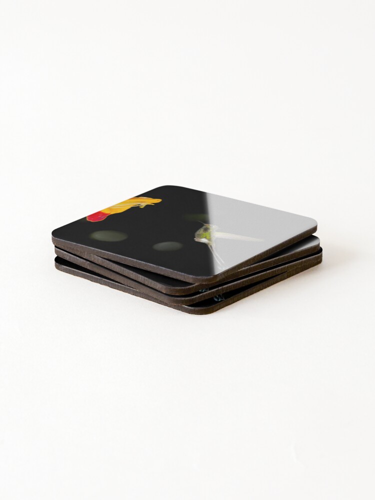 Thumbnail 4 of 5, Coasters (Set of 4), Booted Racket-tail designed and sold by roumazeilles.