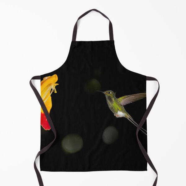 Item preview, Booted Racket-tail designed and sold by Yves Roumazeilles (Wild Focus).