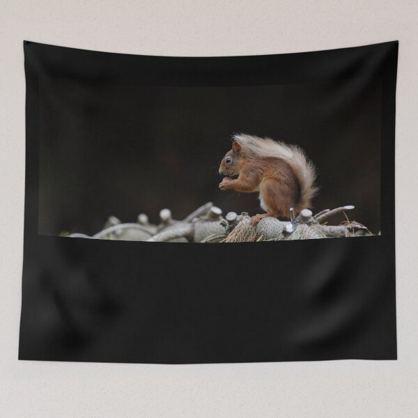Item preview, Red squirrel designed and sold by Yves Roumazeilles (Wild Focus).