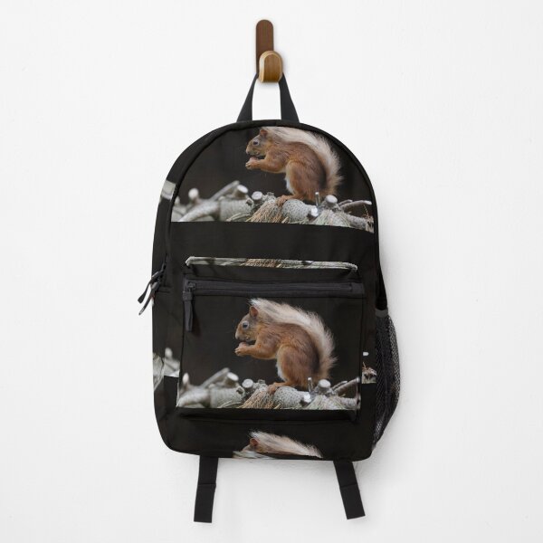 Item preview, Red squirrel designed and sold by Yves Roumazeilles (Wild Focus).