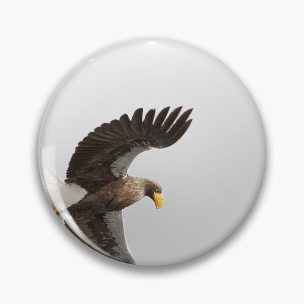 Item preview, Steller's sea eagle designed and sold by Yves Roumazeilles (Wild Focus).