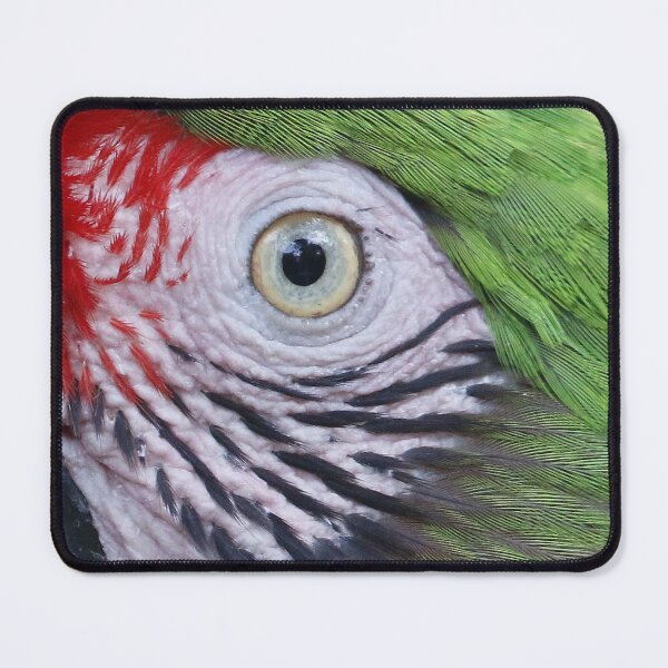 Item preview, Ara designed and sold by Yves Roumazeilles (Wild Focus).