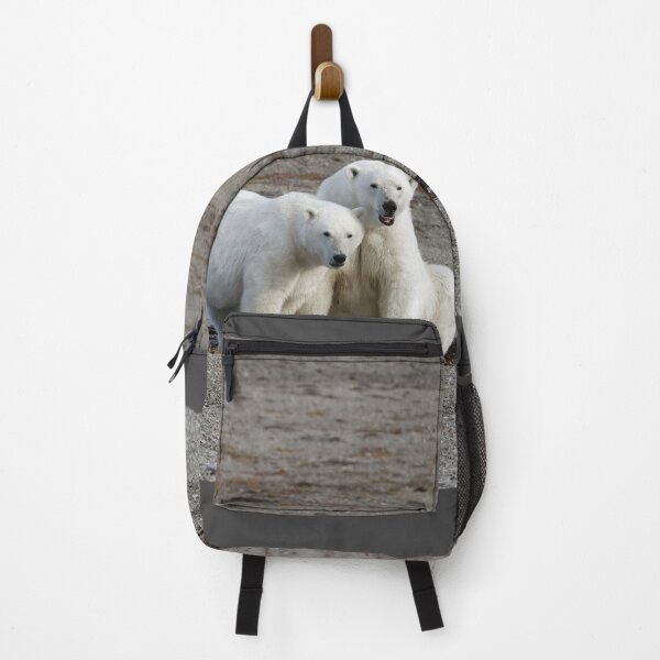 Item preview, Polar bears - Polar bears designed and sold by Yves Roumazeilles (Wild Focus).