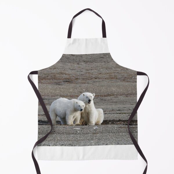 Item preview, Polar bears - Polar bears designed and sold by Yves Roumazeilles (Wild Focus).