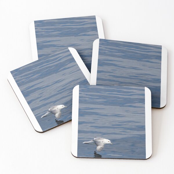 Item preview, Fulmar - reflet designed and sold by Yves Roumazeilles (Wild Focus).