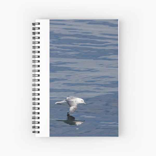 Item preview, Fulmar - reflet designed and sold by Yves Roumazeilles (Wild Focus).