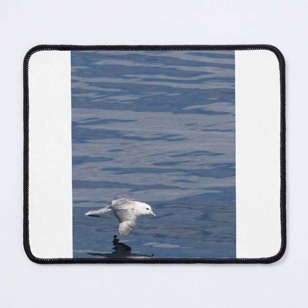 Item preview, Fulmar - reflet designed and sold by Yves Roumazeilles (Wild Focus).