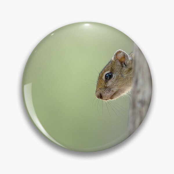 Item preview, Squirrel - Ardilla - Ecureuil designed and sold by Yves Roumazeilles (Wild Focus).