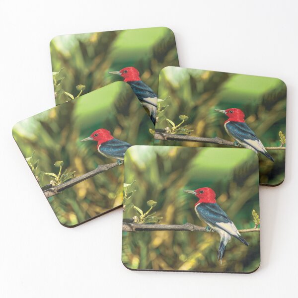 Item preview, Alert Red-headed Woodpecker designed and sold by Kay Brewer.