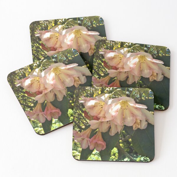 Item preview, Dreamy Peach Charm Rhododendrons designed and sold by Trisha North.