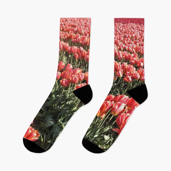 Item preview, Enchanting Tulips in Skagit Valley  designed and sold by Trisha North.