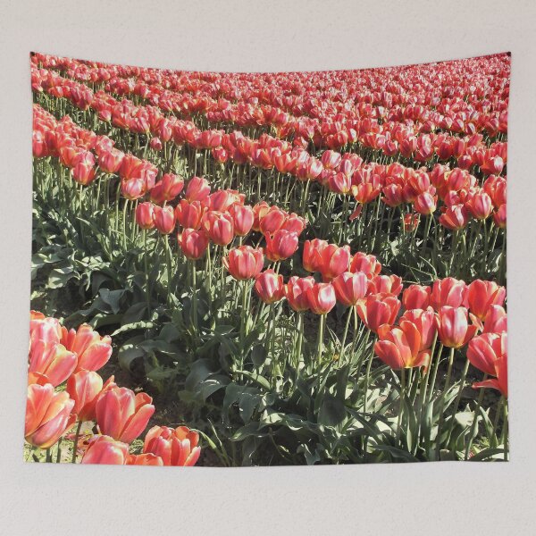 Item preview, Enchanting Tulips in Skagit Valley  designed and sold by Trisha North.
