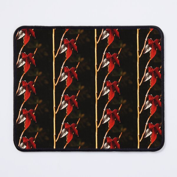 Item preview, Autumn's Last Glow at Magpie Springs by Avril Thomas designed and sold by MagpieSprings.