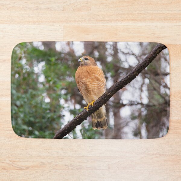 Item preview, Red Shouldered Hawk on Branch in Woodland Setting designed and sold by vryandesigns.
