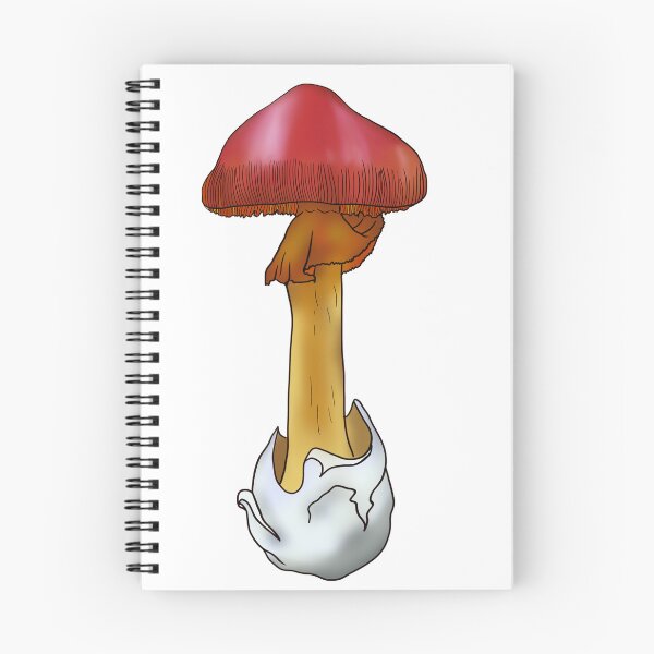 Item preview, Caesar's Amanita designed and sold by Anydem.