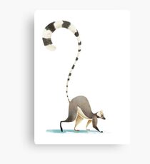 Lemur Metal Print
